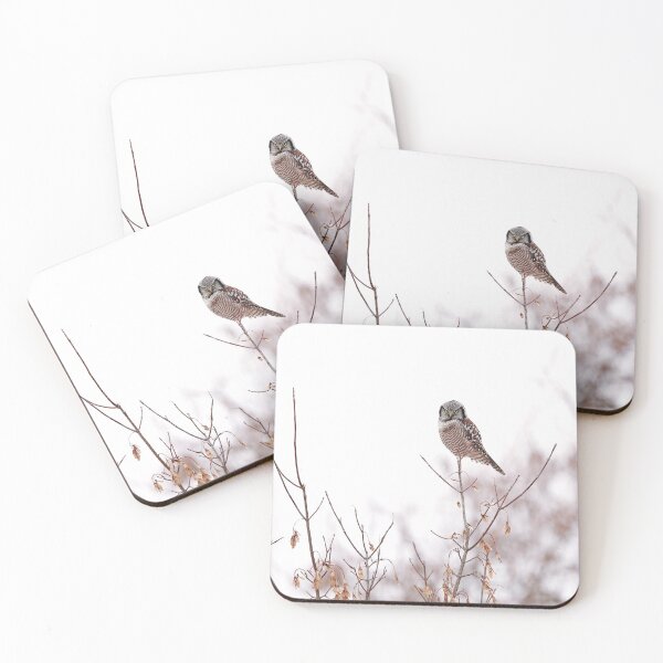Item preview, Northern Hawk Owl designed and sold by mlorenz.