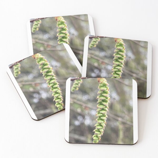 Item preview, American Hornbeam Catkin Flower designed and sold by Max Kindly.