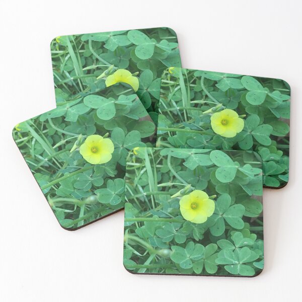 Item preview, Silvestre designed and sold by nydiavillarreal.