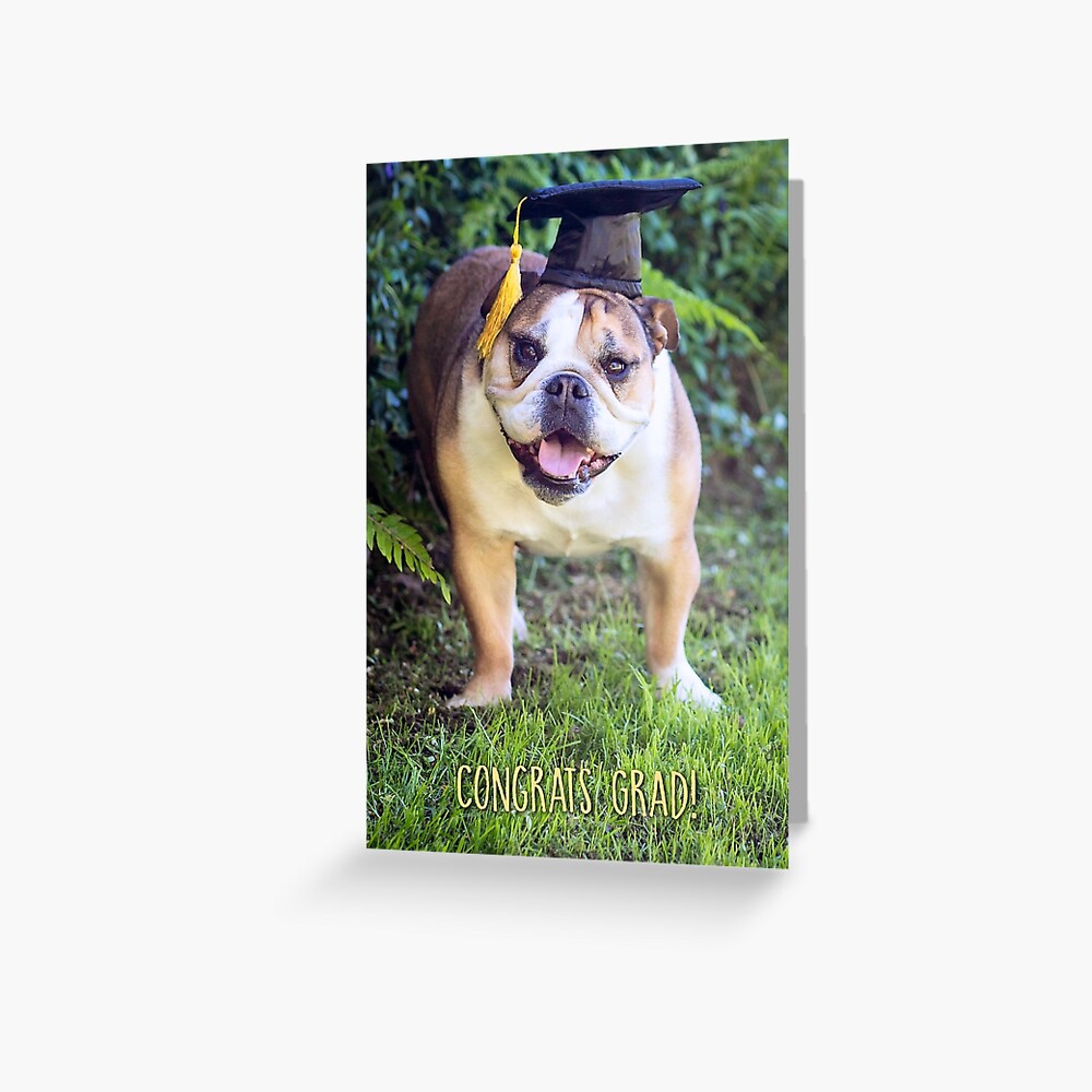 Congrats Grad Greeting Card Greeting Card