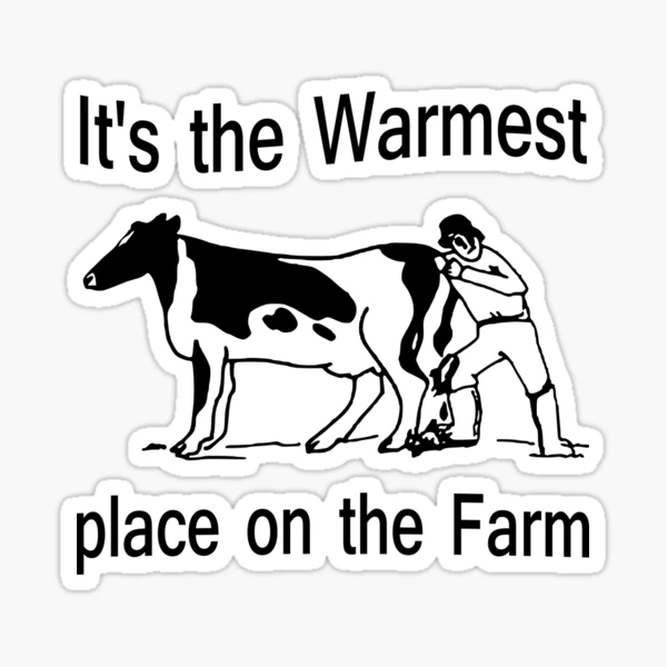 Funny Cow T-Shirt, Valentines Day Cow Lover Gift, Funny Farmer Sweater, Farming Gifts for Women, Barnyard Farm Tshirts, Animal Lover Gift White /