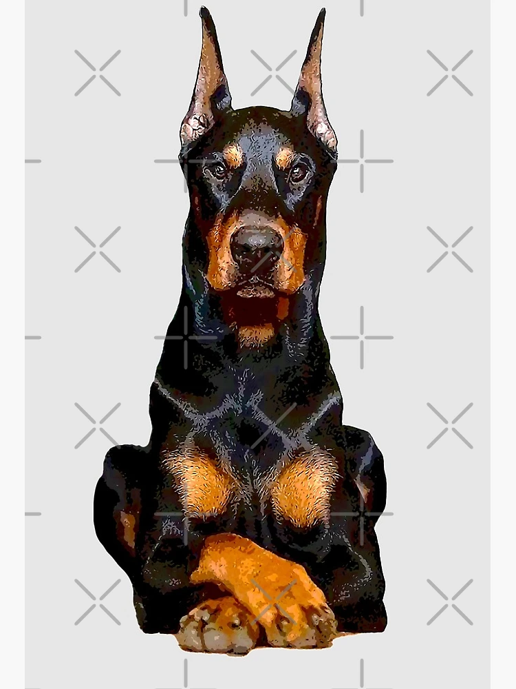 Doberman guard fashion dogs