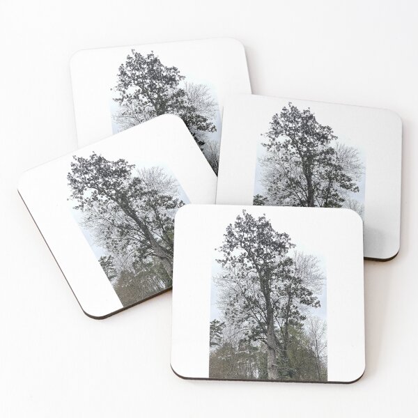 Item preview, Silhouette of Southern Magnolia  designed and sold by Max Kindly.