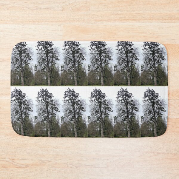 Item preview, Silhouette of Southern Magnolia  designed and sold by Max Kindly.