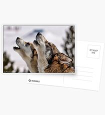 howling Postcards