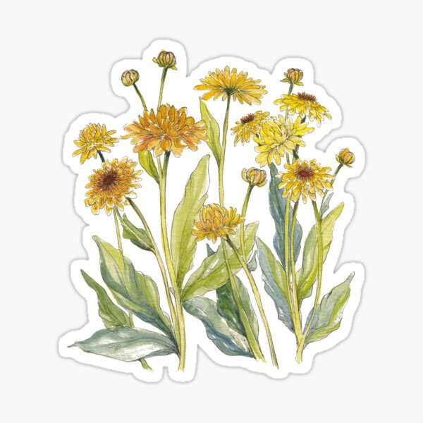 Yellow Paper Daisies Sticker
