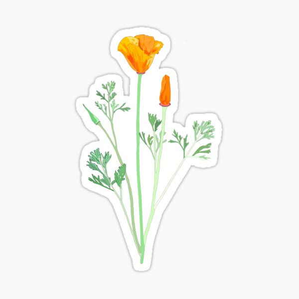 Item preview, California Poppy (Eschscholzia californica) designed and sold by Andie Janik.
