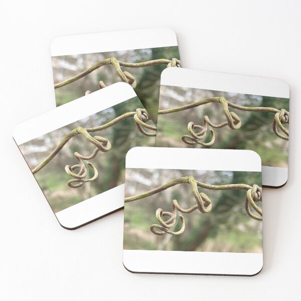 Item preview, Dead Curled Woody Vine designed and sold by Max Kindly.