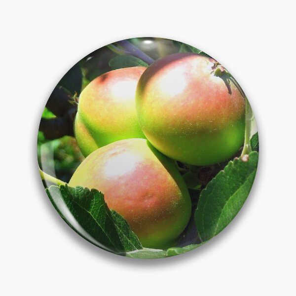 Item preview, Three apples designed and sold by Babbler01.