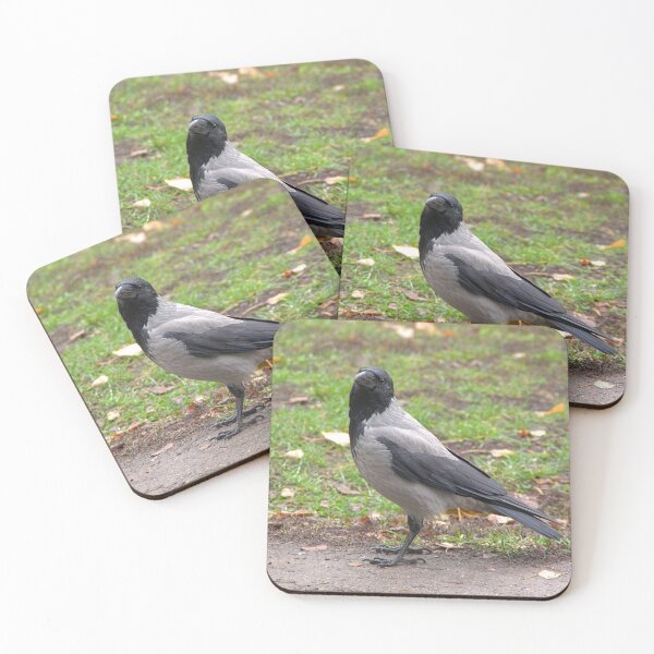 Item preview, What's happening ? designed and sold by Babbler01.