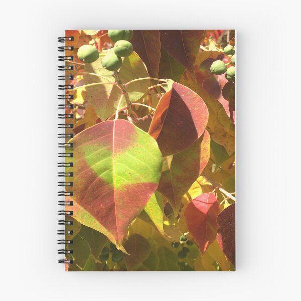 Item preview, Autumn time designed and sold by Jenie Yolland.