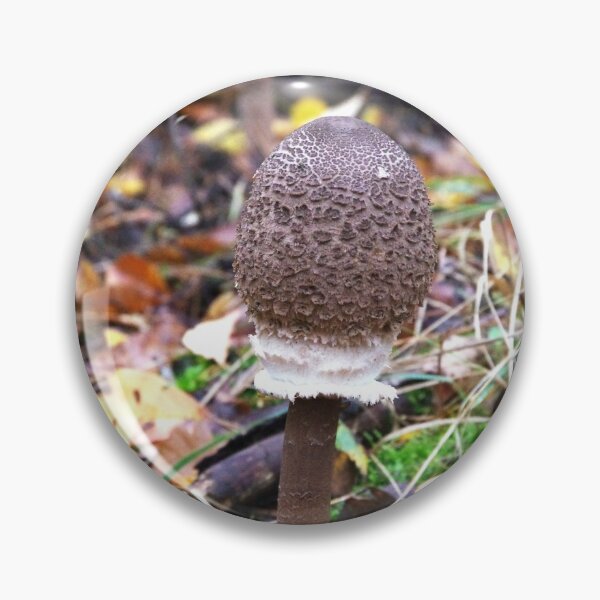 Item preview, Macrolepiota procera designed and sold by Babbler01.