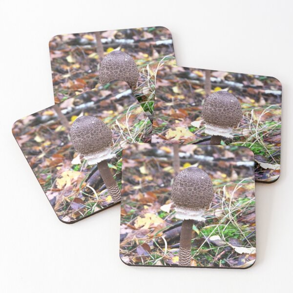 Item preview, Macrolepiota procera designed and sold by Babbler01.