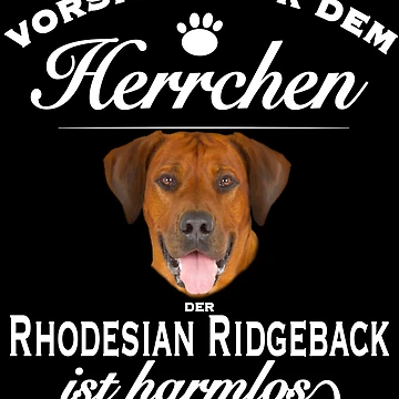 Artwork thumbnail, Rhodesian Ridgeback Tshirt Rhodesian Ridgeback Dog Shirt Tee by KDesigns85