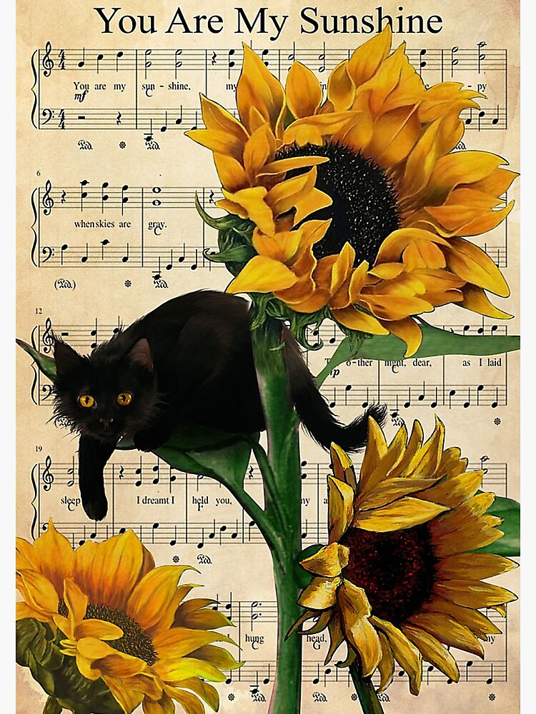 Disover Black Cat You Are My Sunshine Music Sheet Sunflower Poster Premium Matte Vertical Poster