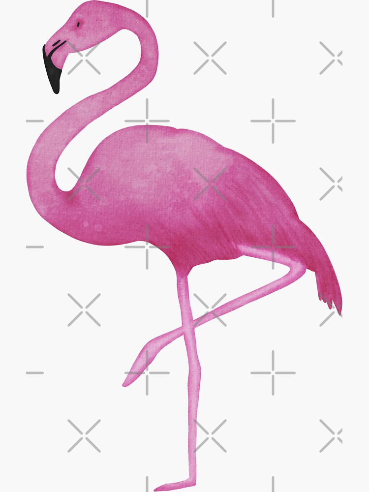 Watercolor flamingo by beemybear