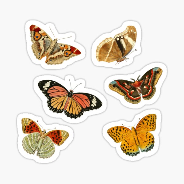 Item preview, Six Mini Butterflies | Vintage Insect Illustration | Vol. 3  designed and sold by KnightandMoon.
