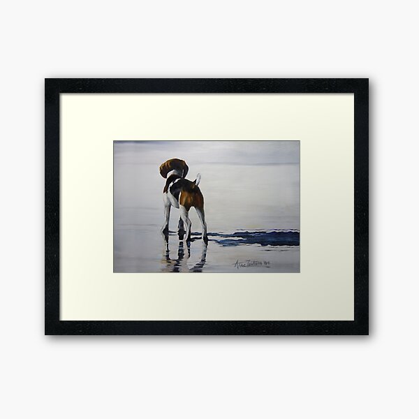 Beagle Reflections Framed Art Print