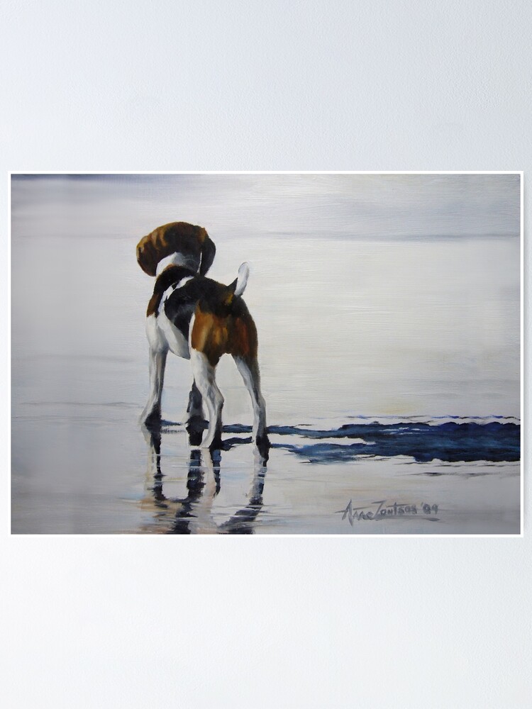 Alternate view of Beagle Reflections Poster