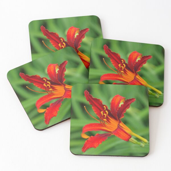 Item preview, Slender Scarlet Beauty - One Boldly Colored Daylily Bloom designed and sold by Georgia Mizuleva.