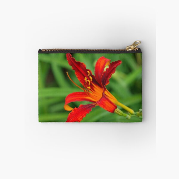 Item preview, Slender Scarlet Beauty - One Boldly Colored Daylily Bloom designed and sold by Georgia Mizuleva.