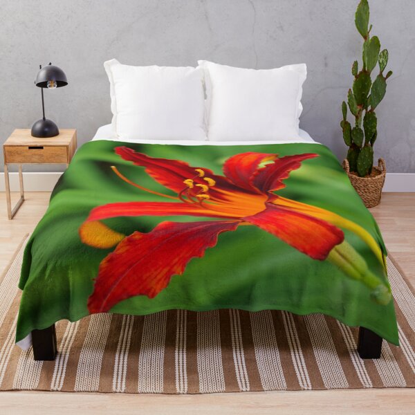 Item preview, Slender Scarlet Beauty - One Boldly Colored Daylily Bloom designed and sold by Georgia Mizuleva.
