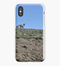 Mama and baby on the ridge iPhone Case