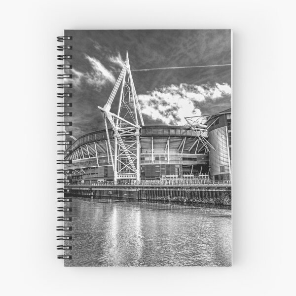 Item preview, The Principality Stadium Monochrome designed and sold by Steve Purnell Photography.