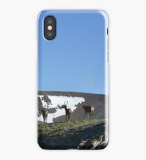 3 elk iPhone Case