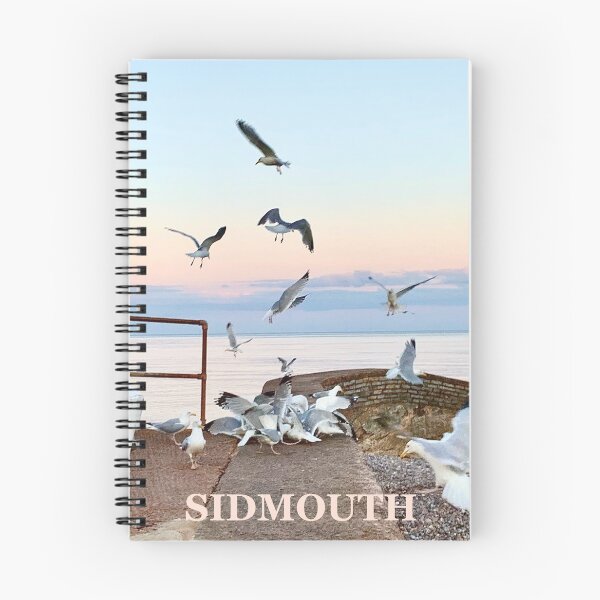 Item preview, sidmouth seagulls, devon, uk designed and sold by solidair.