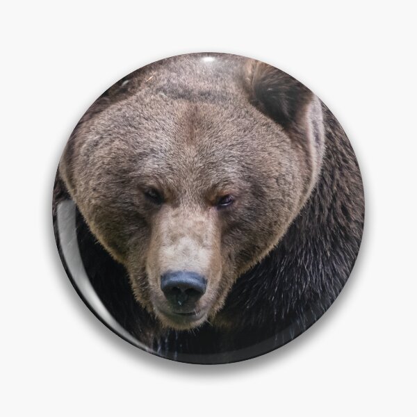 Item preview, Brown bear in attack mode designed and sold by Ingo Gerlach.