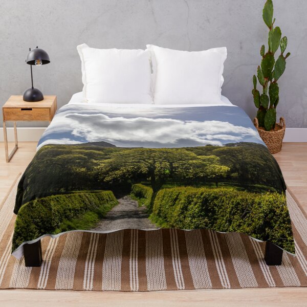 Item preview, The path to Roseberry Topping designed and sold by grumpykeith.