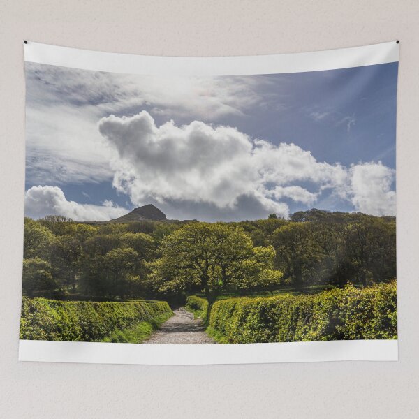 Item preview, The path to Roseberry Topping  designed and sold by grumpykeith.