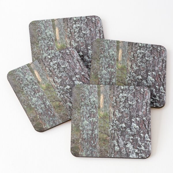 Item preview, forest pine tree trunks close-up designed and sold by mrivserg.