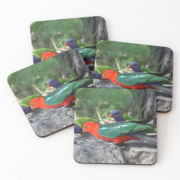 Australian Rainbow Lorikeets Coasters (Set of 4)