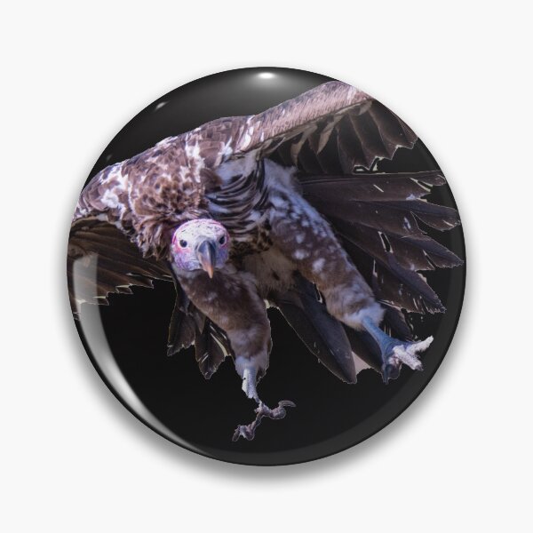 Item preview, Vulture approaching for landing designed and sold by Ingo Gerlach.