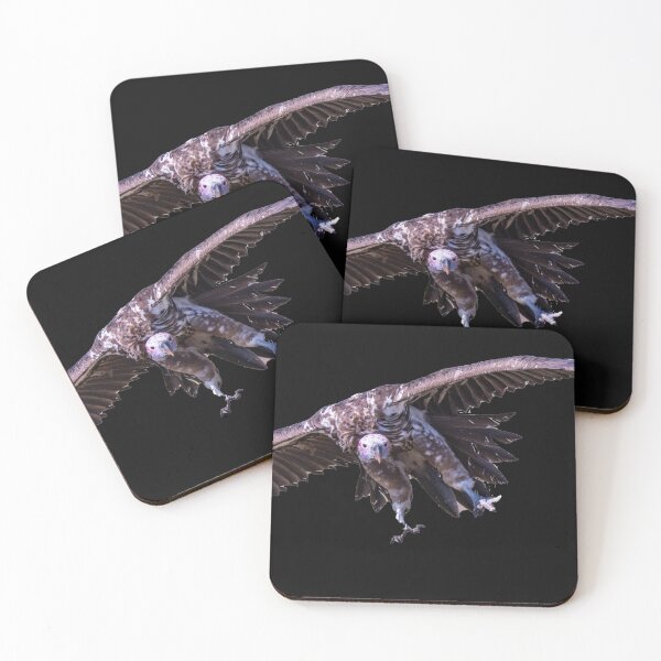 Item preview, Vulture approaching for landing designed and sold by Ingo Gerlach.