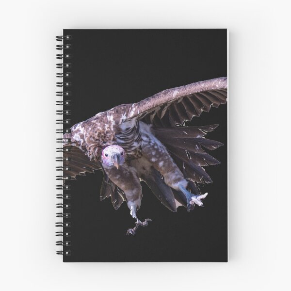 Item preview, Vulture approaching for landing designed and sold by Ingo Gerlach.