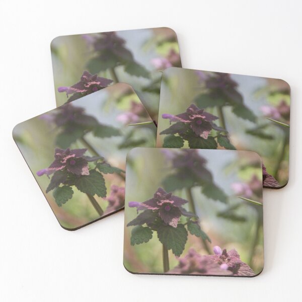Item preview, Dead Nettles with Reflections designed and sold by Calidris Fotografie Steffi & Ben Köppler.
