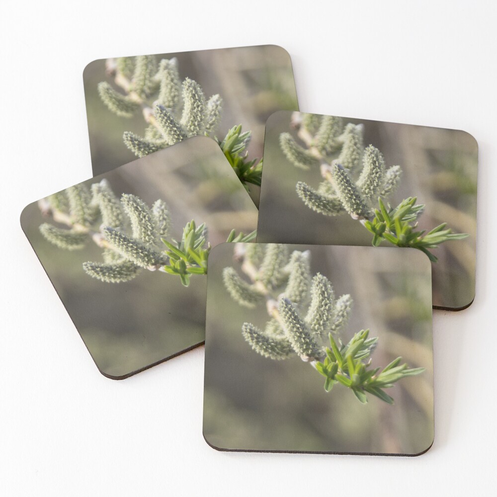 Item preview, Coasters (Set of 4) designed and sold by steffik.