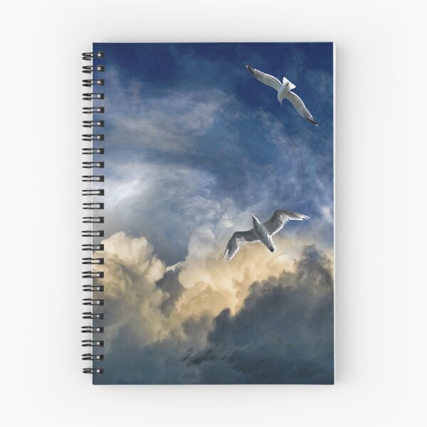 Item preview, 5150 designed and sold by peter holme III.