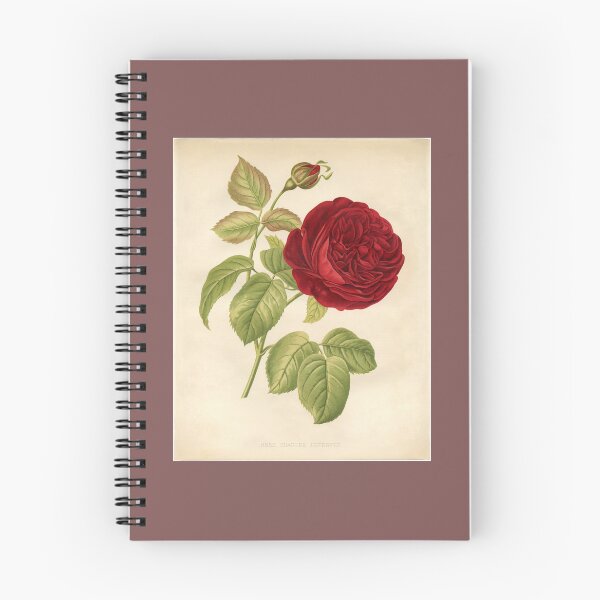 Artikelvorschau, Rote Rose bedruckbares Design entworfen und verkauft von JovanaMa.