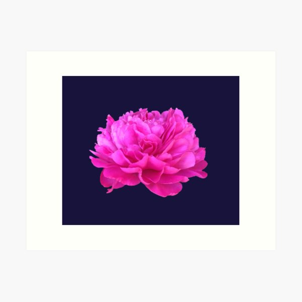 Item preview, Bright Pink Peony Close-up designed and sold by InalterataArt.