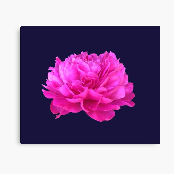 Item preview, Bright Pink Peony Close-up designed and sold by InalterataArt.