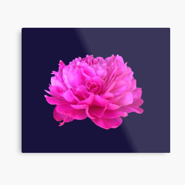 Item preview, Bright Pink Peony Close-up designed and sold by InalterataArt.