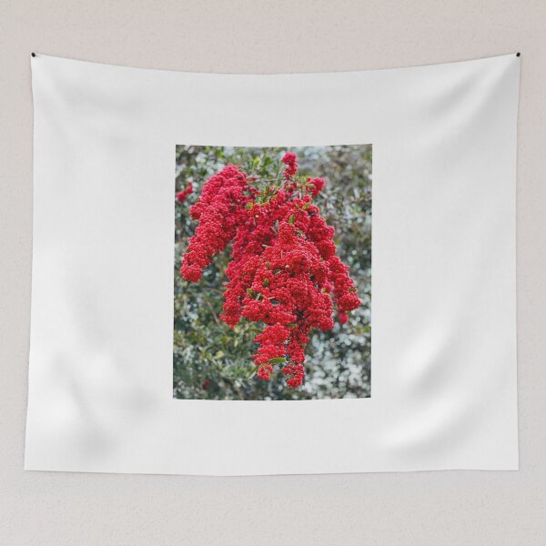 Item preview, All red designed and sold by veraD58.