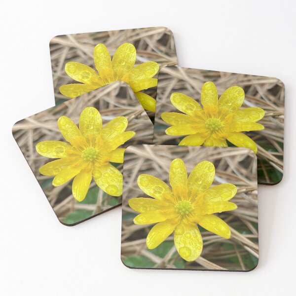 Item preview, Early Butter Endangered Flower designed and sold by Max Kindly.