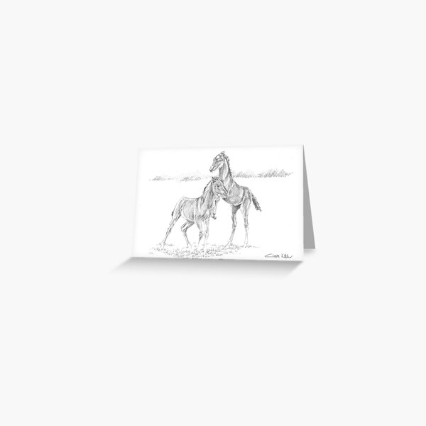 Foals at Play 4 Greeting Card