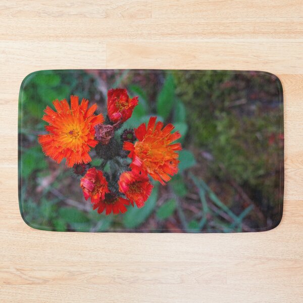 Item preview, orange-red hawkweed - blossom - flower designed and sold by Connys Colorful World.