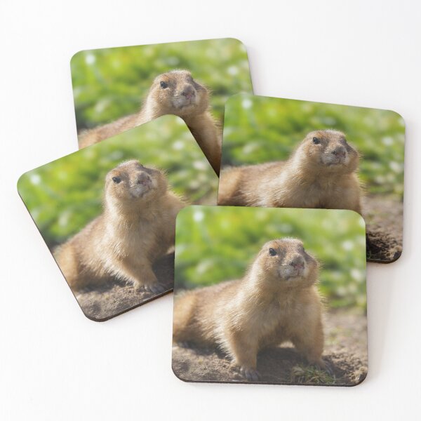 Item preview, Black tailed-prairie dog designed and sold by rawshutterbug.